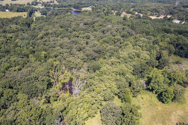 TBD County Road 462, Mineola, TX 75773 - photo 7