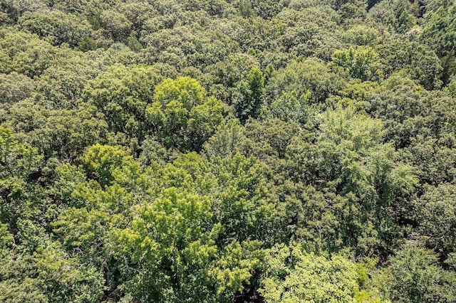 TBD County Road 462, Mineola, TX 75773 - photo 13