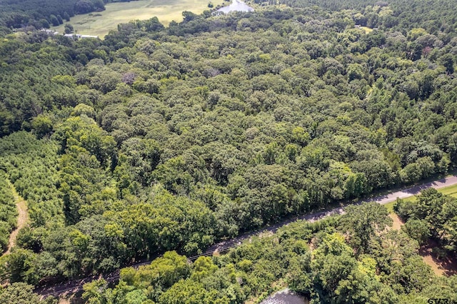 TBD County Road 462, Mineola, TX 75773 - photo 3