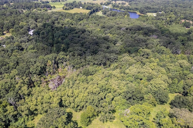 TBD County Road 462, Mineola, TX 75773 - photo 5