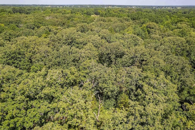 TBD County Road 462, Mineola, TX 75773 - photo 9