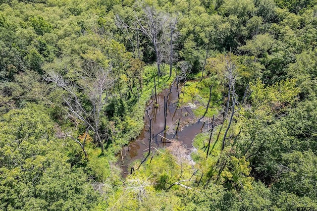 TBD County Road 462, Mineola, TX 75773 - photo 10