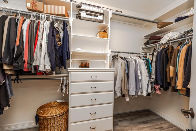 spacious closet with wood-type flooring