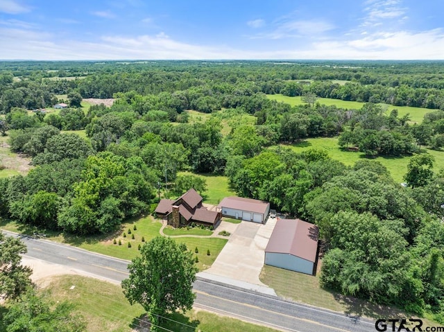 5766 Fm 279, Ben Wheeler, TX 75754 - view from above of property featuring a forest