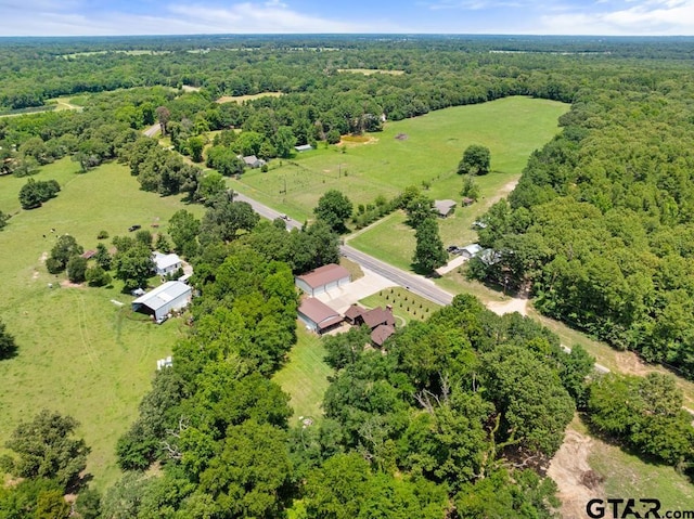 5766 Fm 279, Ben Wheeler, TX 75754 - bird's eye view of a forest