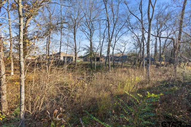 6023 Grace Ave, Tyler, TX 75707 - view of yard