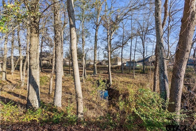 6023 Grace Ave, Tyler, TX 75707 - view of yard