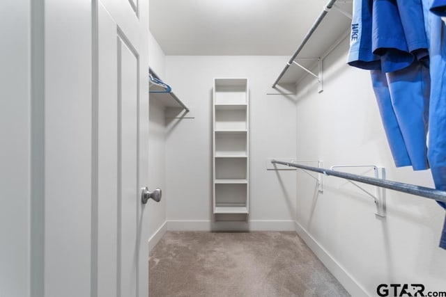 spacious closet with carpet floors