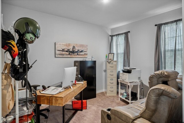 office space with baseboards, a wealth of natural light, and light carpet