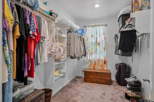 spacious closet with carpet
