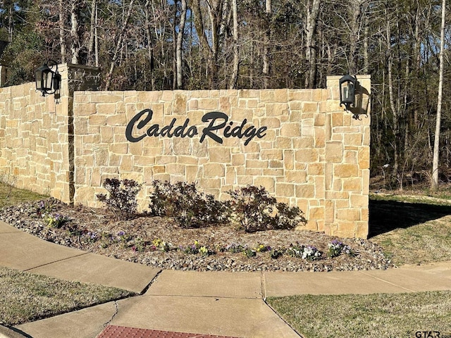 9291 Caddo Ridge Cv, Tyler, TX 75701