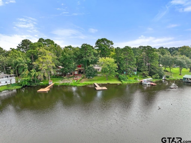 property view of water with a dock