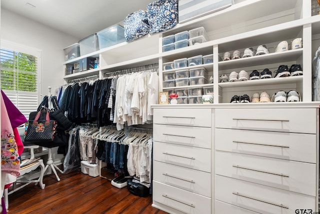 14698 Jade Forest Trl, Tyler, TX 75707 - walk in closet with dark wood finished floors