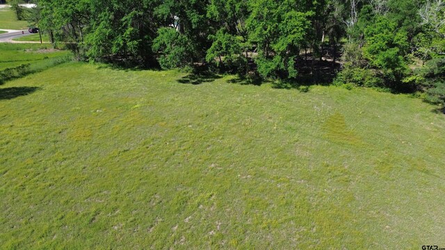 TBD W State Highway 7, Crockett, TX 75835 - photo 8