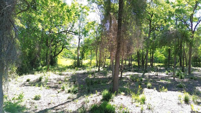 TBD W State Highway 7, Crockett, TX 75835 - photo 12