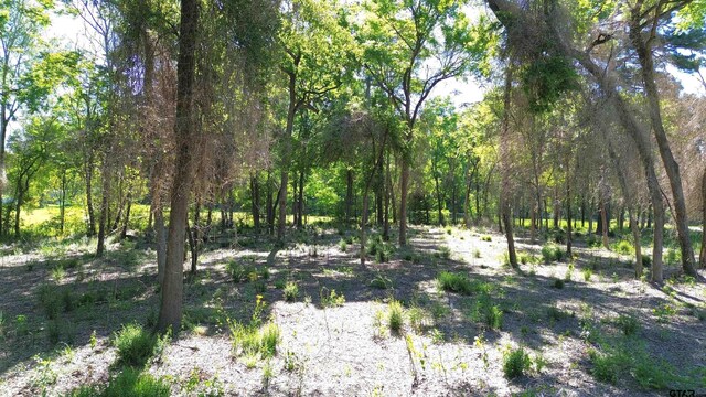 TBD W State Highway 7, Crockett, TX 75835 - photo 11