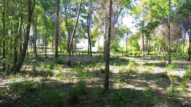 TBD W State Highway 7, Crockett, TX 75835 - photo 10