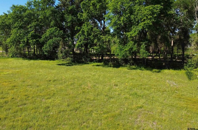TBD W State Highway 7, Crockett, TX 75835 - photo 6