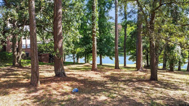 3107 Lake Vista Cir, Tyler, TX 75707