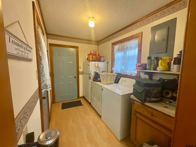 washroom featuring a textured ceiling, independent washer and dryer, crown molding, electric panel, and light wood-type flooring