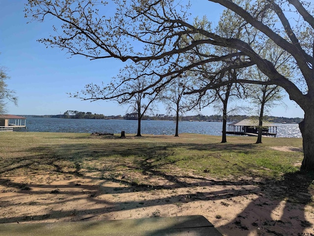 22812 Coffee Lndg, Frankston, TX 75763 - view of yard with a water view