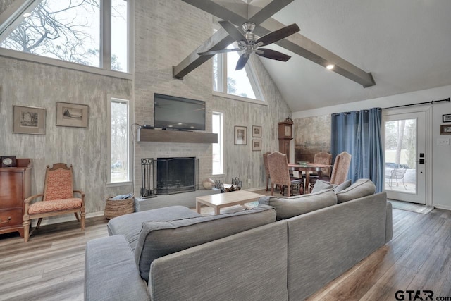 living room featuring a large fireplace, plenty of natural light, wood finished floors, and a ceiling fan