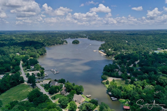 aerial view with a view of trees and a water view