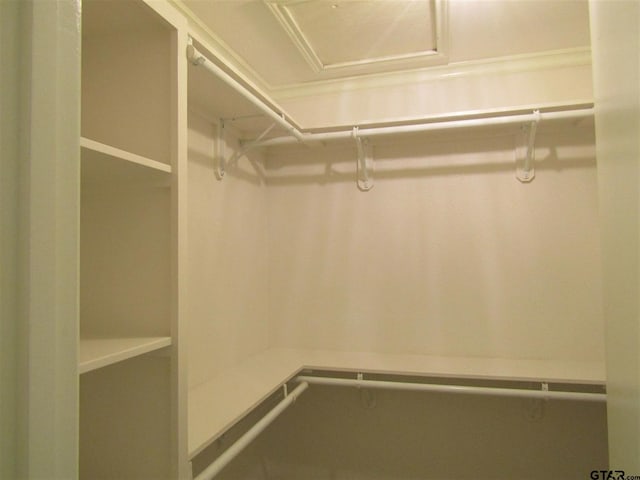 view of walk in closet