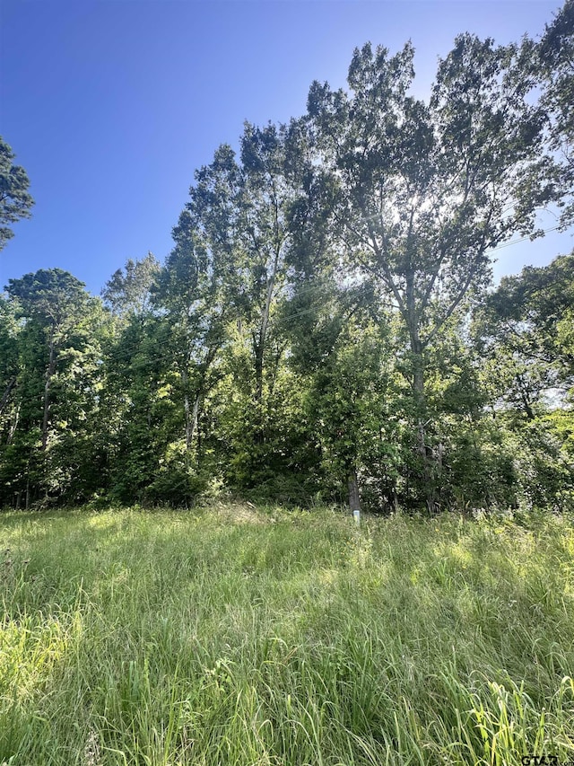 TBD Fm 2658, Tatum, TX 75691 - photo 1