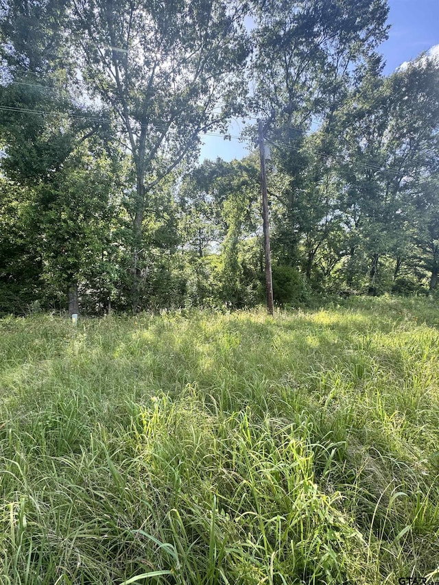 TBD Fm 2658, Tatum, TX 75691 - photo 4