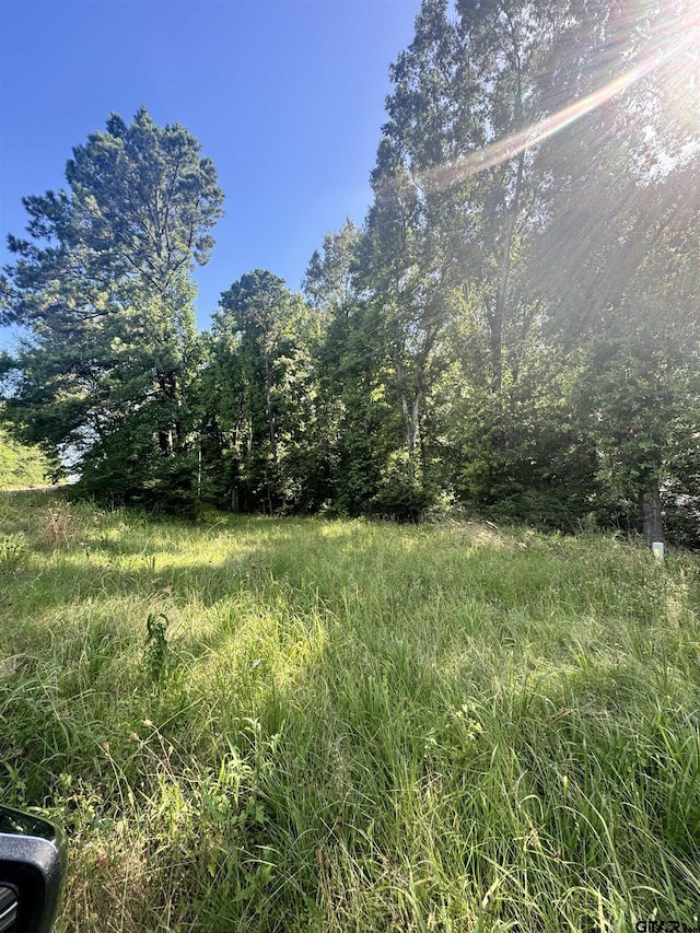 TBD Fm 2658, Tatum, TX 75691 - photo 3
