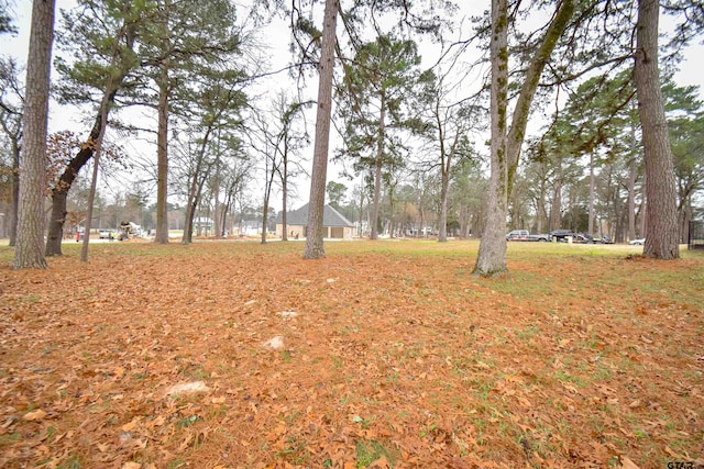 TBD Dogwood Lakes Cir, Bullard, TX 75757 - photo 4