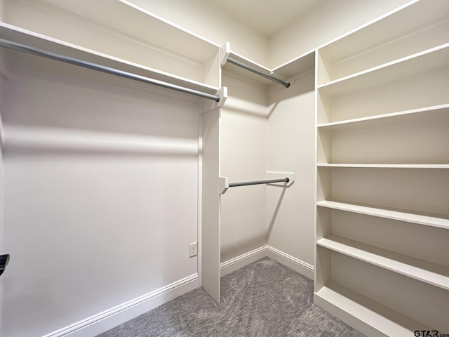 walk in closet with dark colored carpet