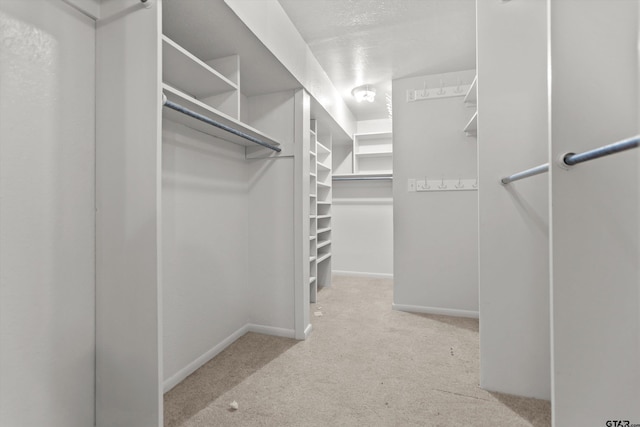 walk in closet featuring carpet floors