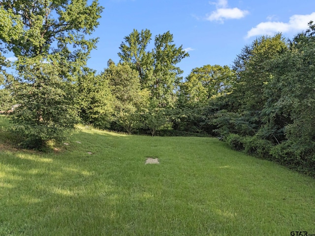 7031 Ridge Place Cir, Tyler, TX 75703 - view of grassy yard featuring a wooded view