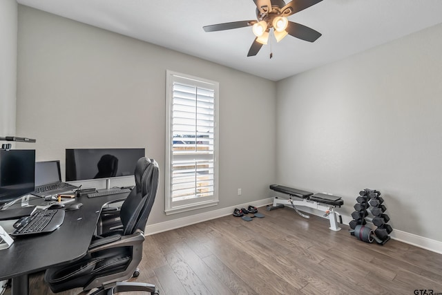 home office with ceiling fan and wood-type flooring