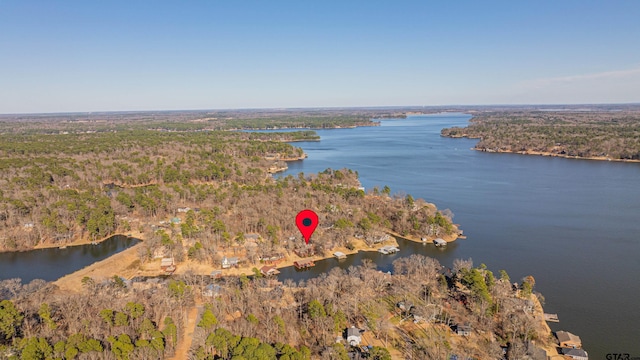 bird's eye view featuring a water view and a view of trees