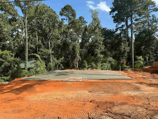 1610 Pineview Ln, Hideaway, TX 75771 - view of road