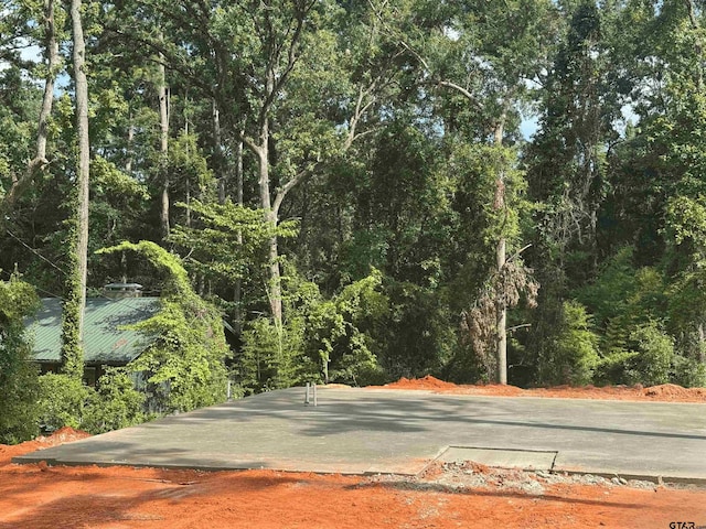 1610 Pineview Ln, Hideaway, TX 75771 - view of road