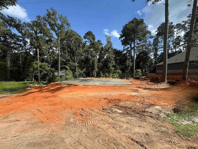 1610 Pineview Ln, Hideaway, TX 75771 - view of yard