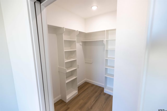 walk in closet with dark hardwood / wood-style flooring