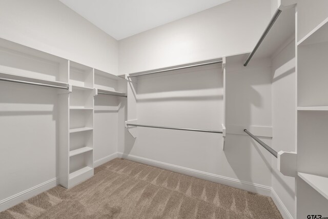 spacious closet featuring carpet