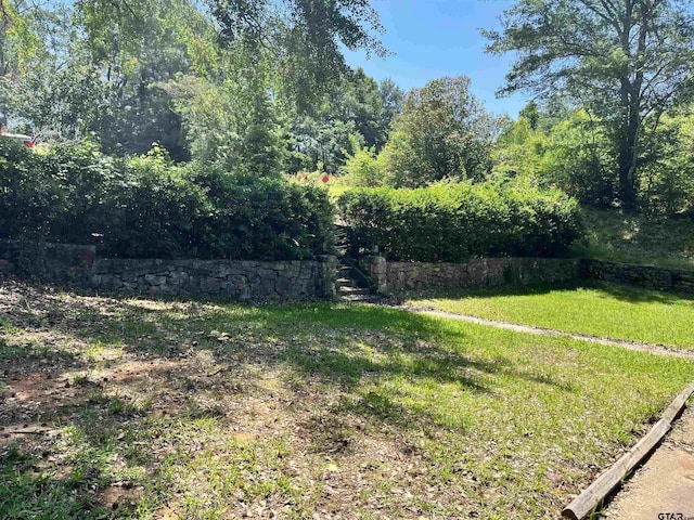 712 Leon Dr, Tyler, TX 75702 - view of green lawn