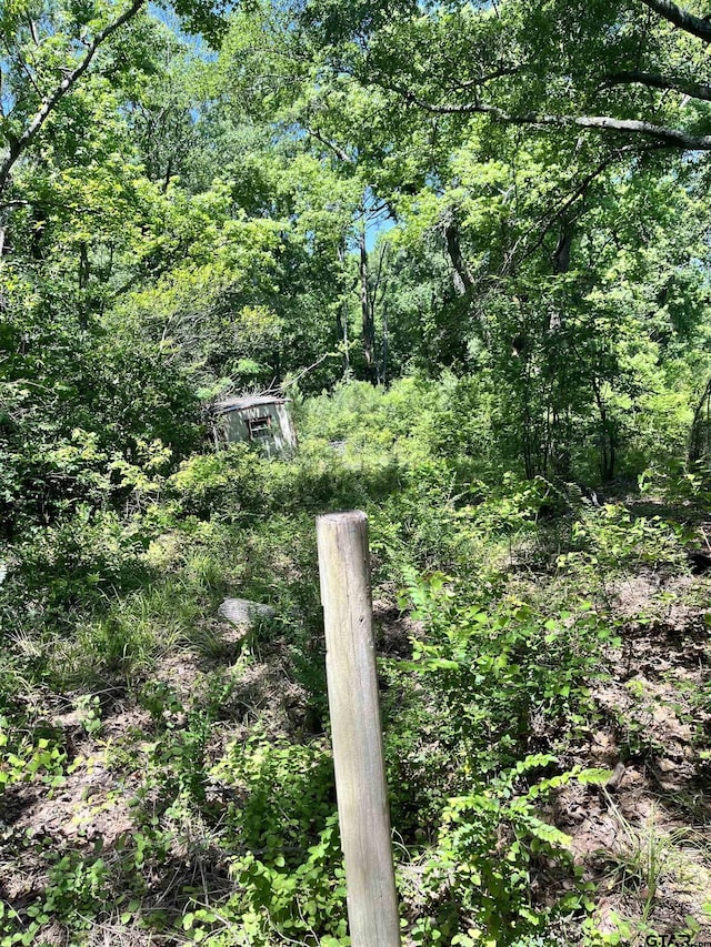 712 Leon Dr, Tyler, TX 75702 - exterior view of a forest