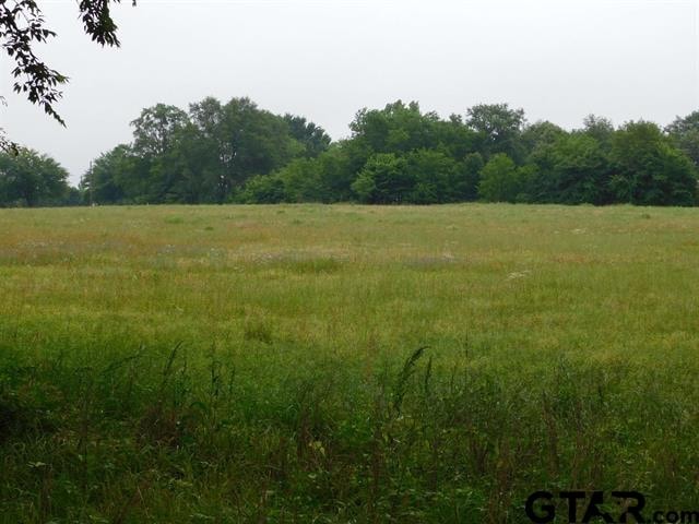 TBD W Zela Ln, Gilmer TX, 75644 land for sale