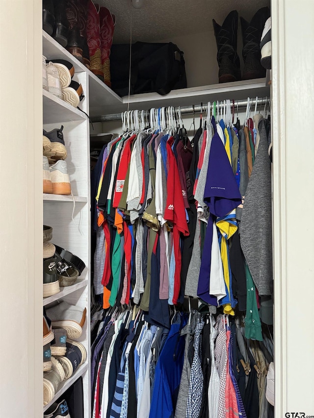 view of closet