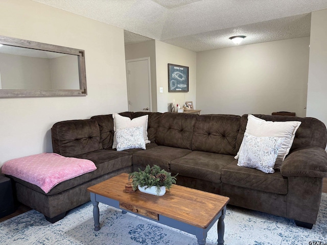 living room featuring a textured ceiling