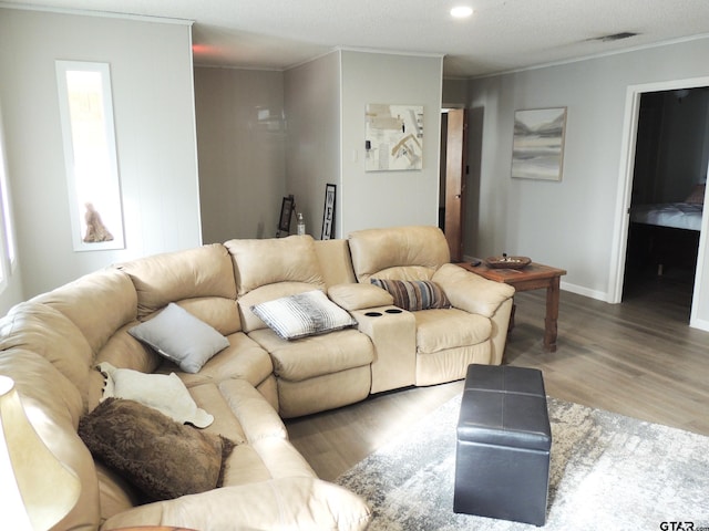 living room with wood-type flooring, a textured ceiling, and crown molding