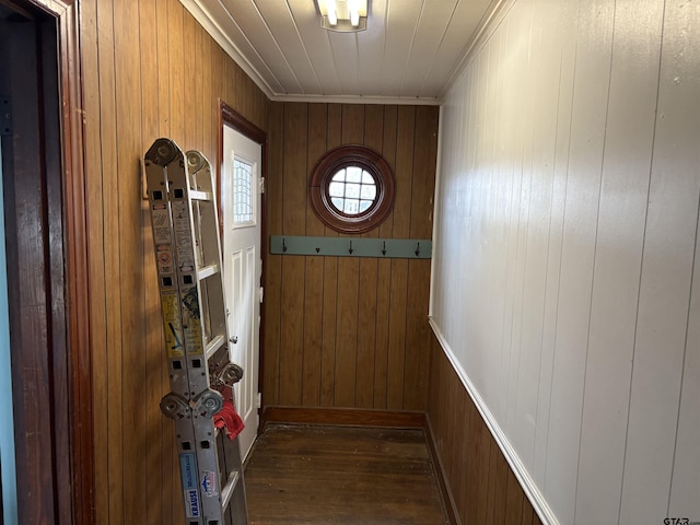 entryway featuring dark wood-type flooring, ornamental molding, and wood walls