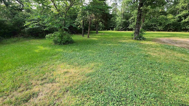 20501 Jak Ln, Chandler, TX 75758 - view of grassy yard with a view of trees